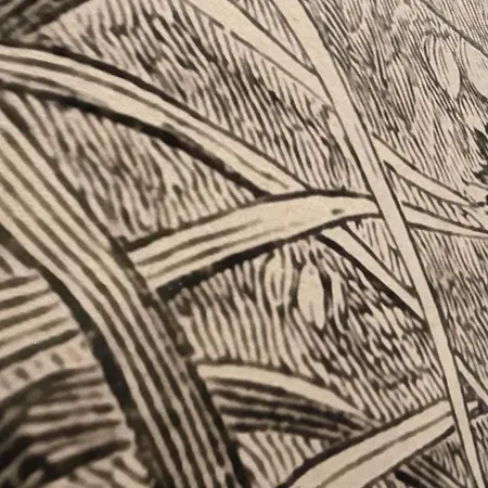 Cabril's Hills Luxe *